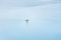 The Sailboat, Puget Sound