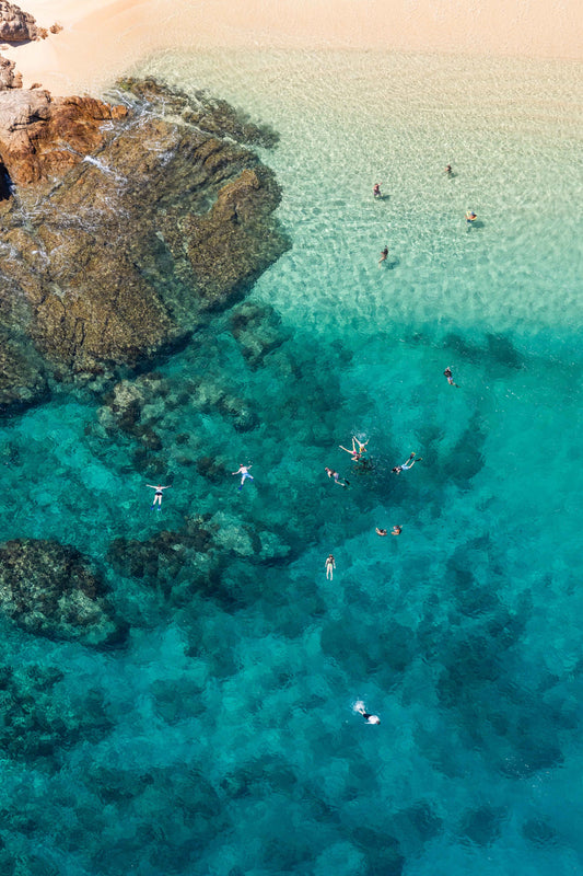 The Snorkelers, Playa Santa Maria, Cabo San Lucas