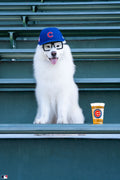 The Sportscaster, Wrigley Field, Chicago