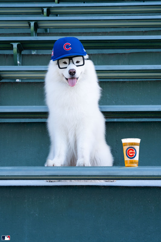 The Sportscaster, Wrigley Field, Chicago