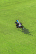 The Sprint, Polo Club