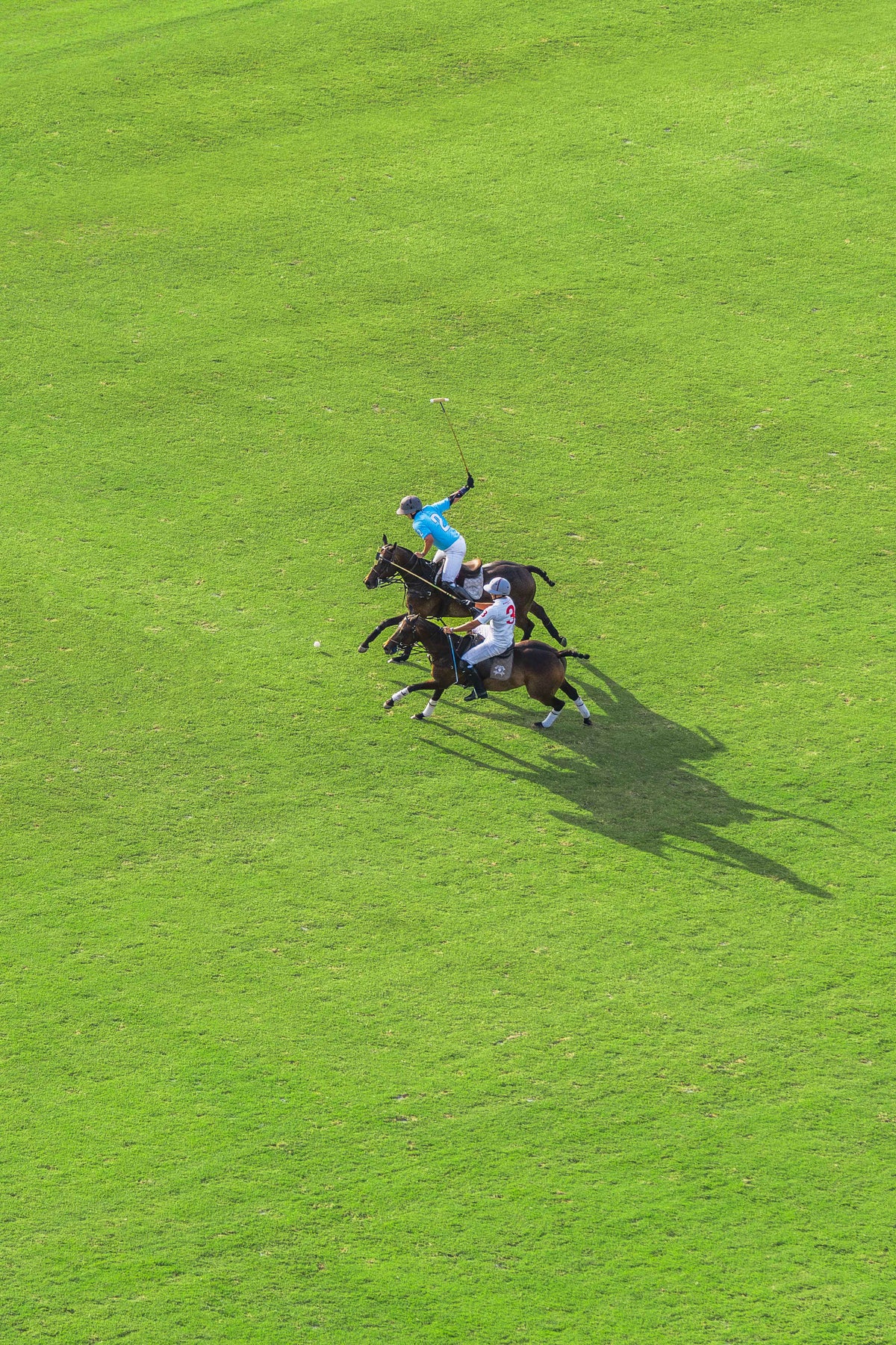 The Sprint, Polo Club