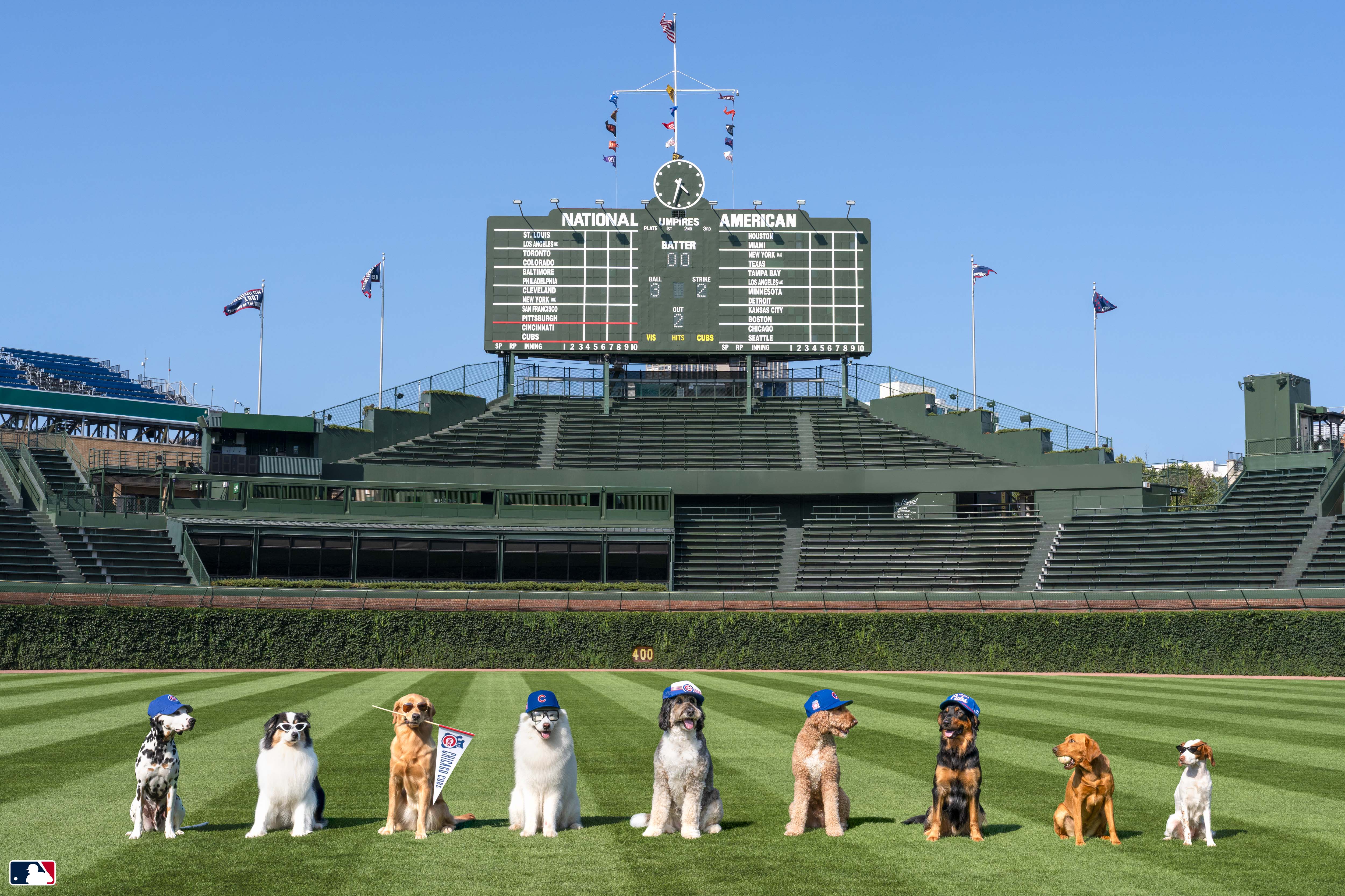 The Starting Lineup, Wrigley Field, Chicago