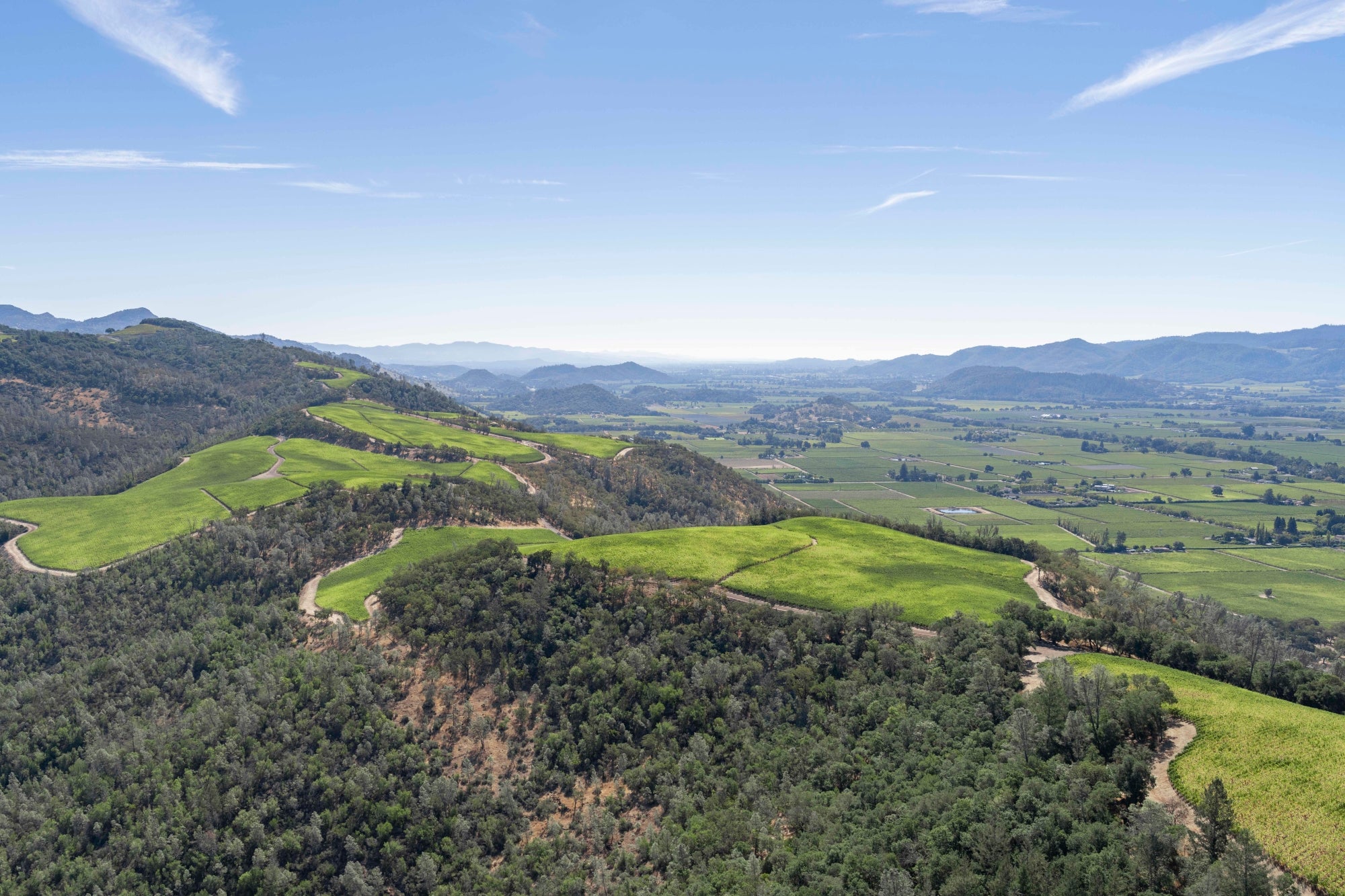The View, Napa Valley – Gray Malin