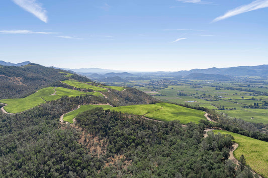 Product image for The View, Napa Valley