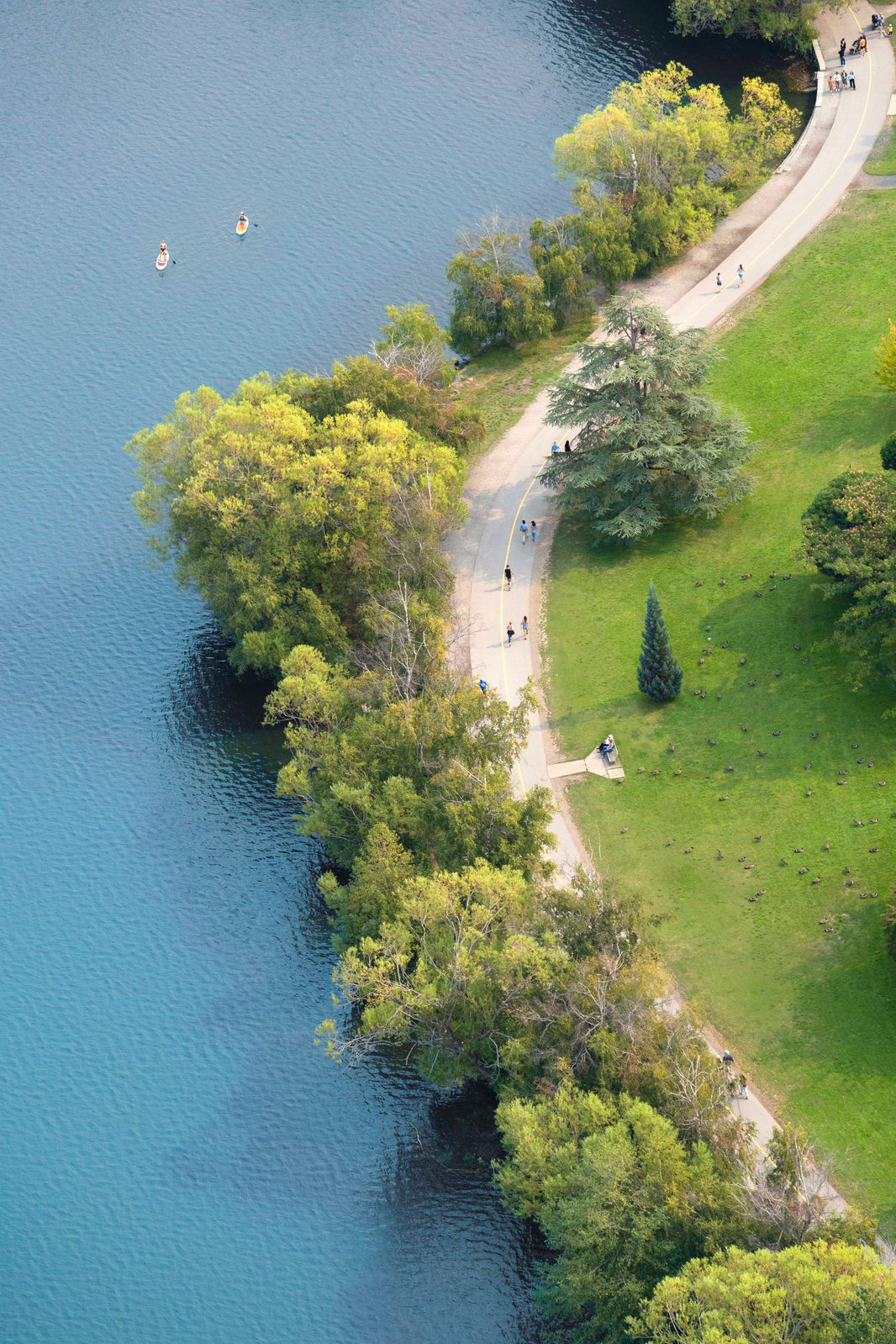 Photography by Gray Malin of The Walking Path Vertical, Green Lake, Seattle
