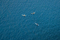 Three Paddle Boarders, Lake Union, Seattle