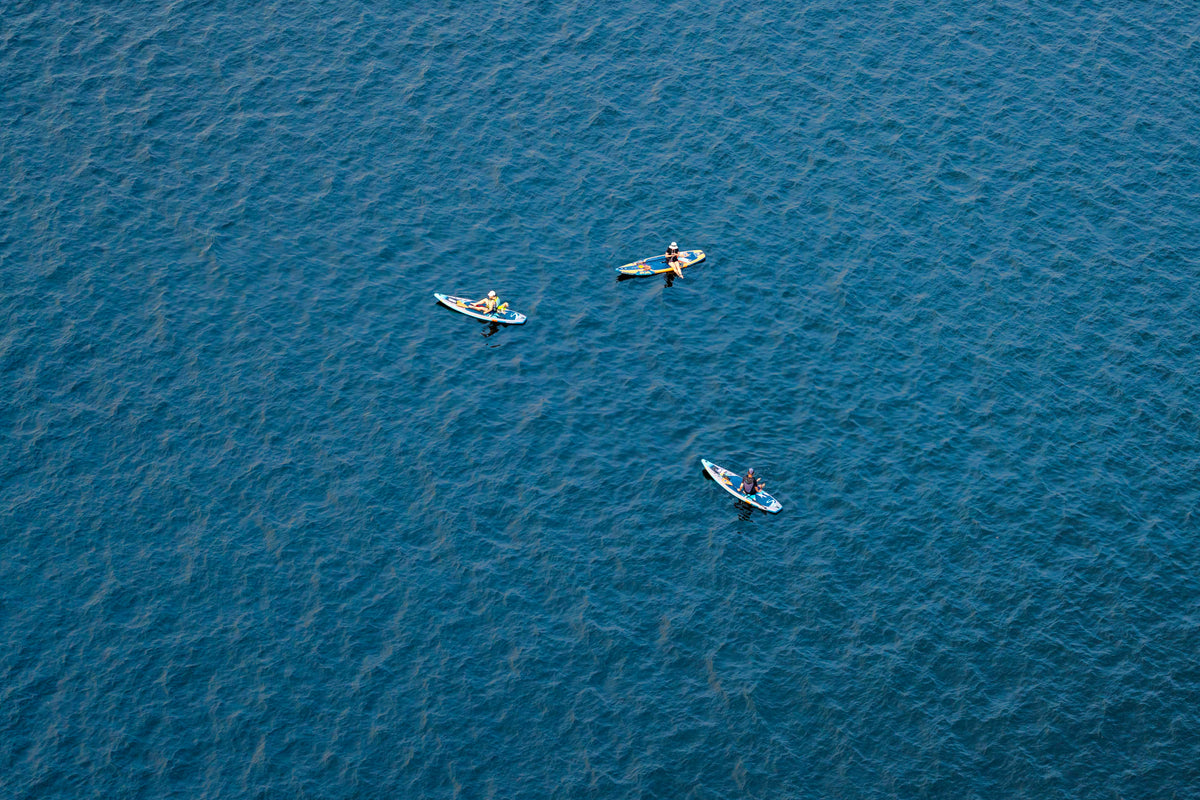 Three Paddle Boarders, Lake Union, Seattle