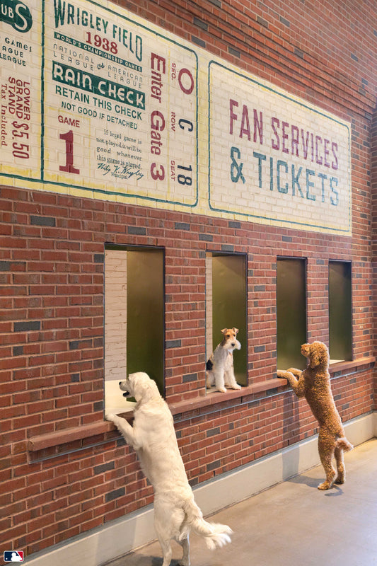 Ticket Counter, Wrigley Field, Chicago