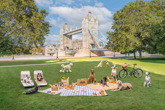 Product image for Tower Bridge Picnic, London