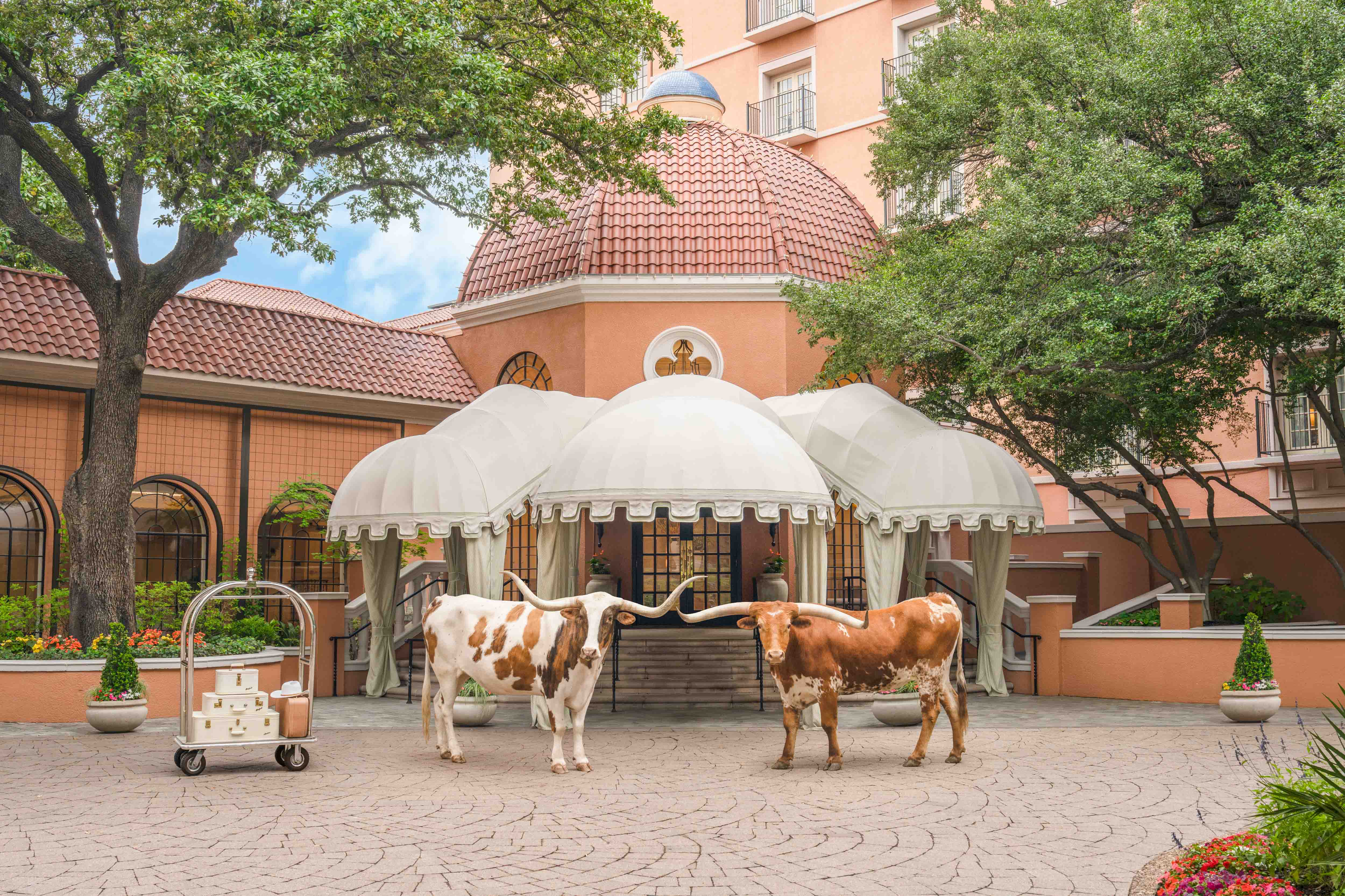 Two Longhorns, The Rosewood Mansion on Turtle Creek