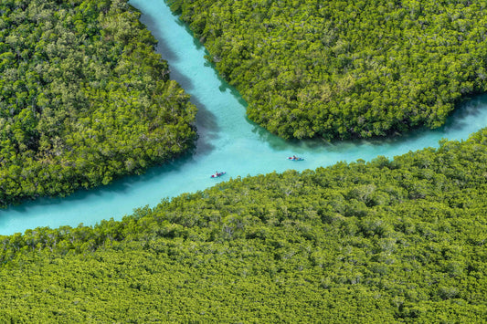 Product image for Two Kayakers, Florida Keys