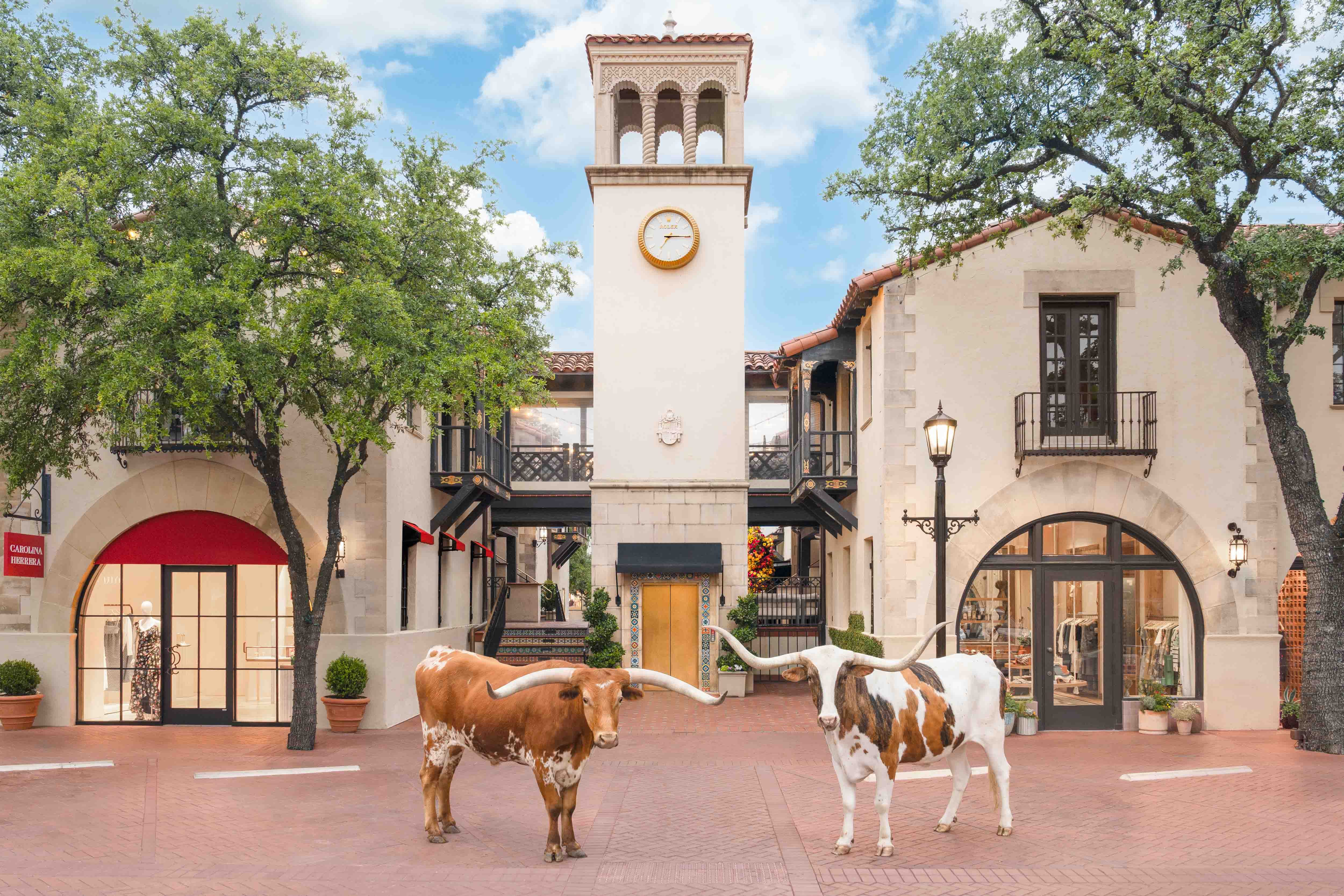 Two Longhorns, Highland Park Village