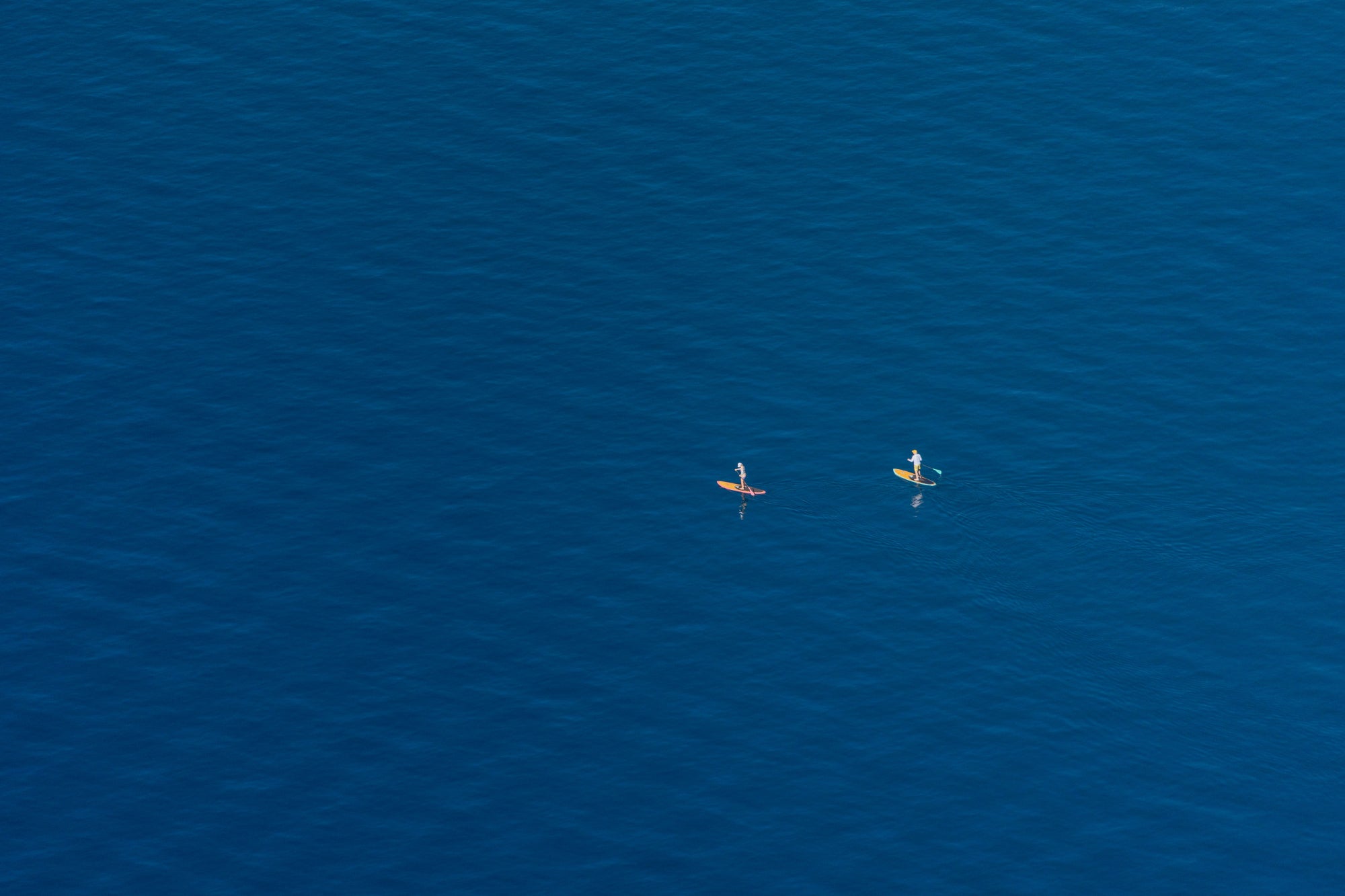 Two Paddleboarders, Lake Tahoe