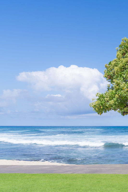Under the Beach Tree, Four Seasons Hualalai, Hawai’i