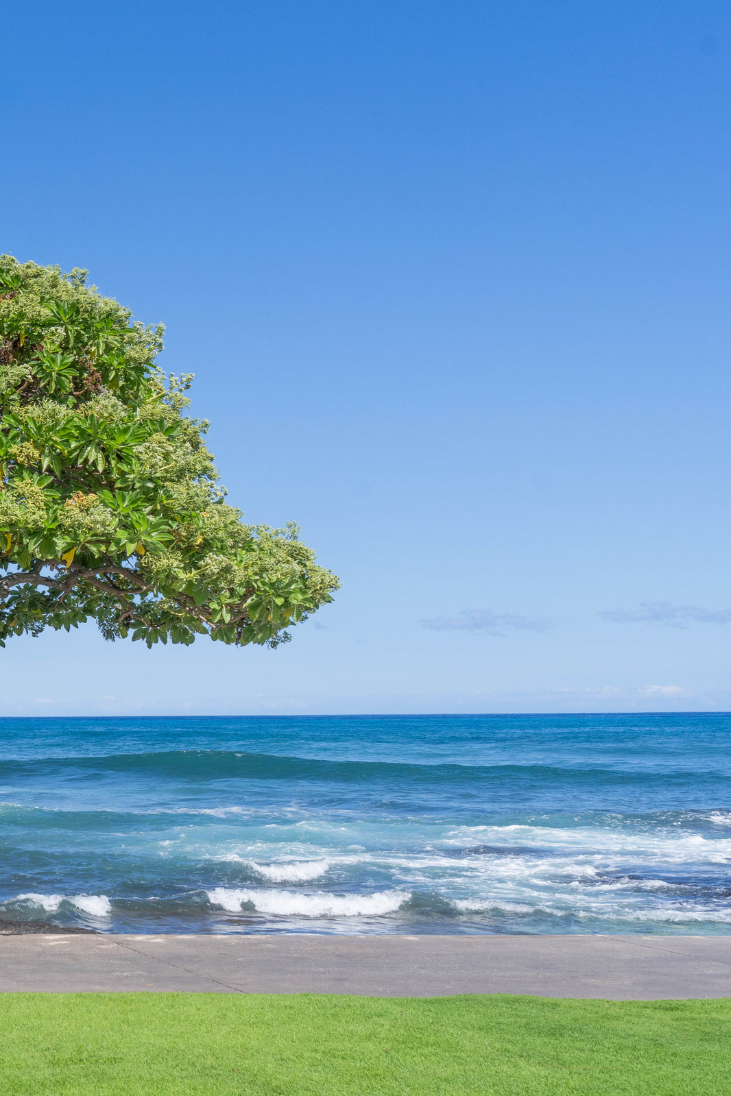 Under the Beach Tree, Four Seasons Hualalai, Hawai’i