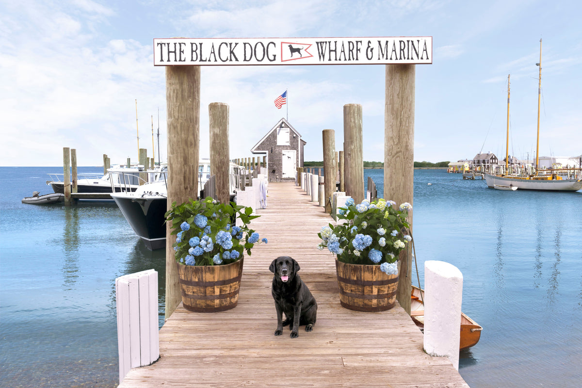 Vineyard Haven, Martha’s Vineyard