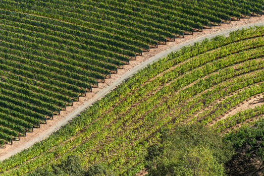 Product image for Hillside Vines, Napa Valley