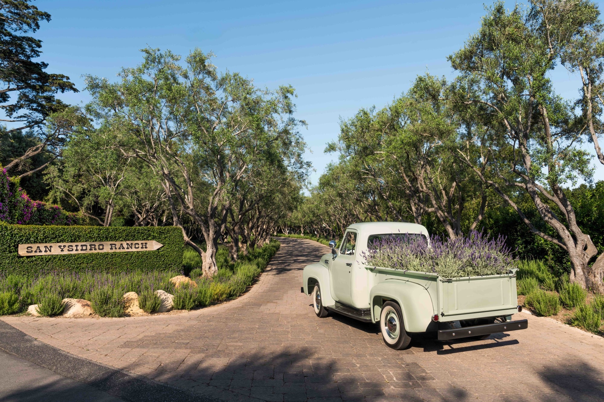 Vintage Arrival, San Ysidro Ranch