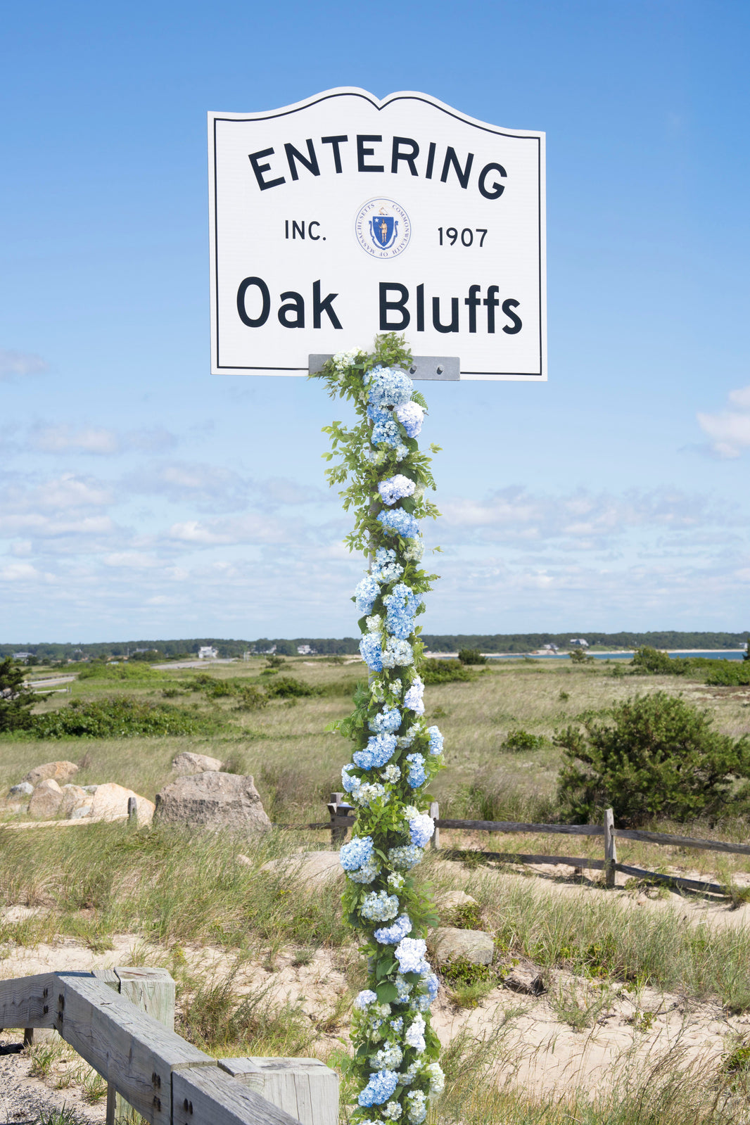 Photography by Gray Malin of Welcome to Oak Bluffs, Martha’s Vineyard