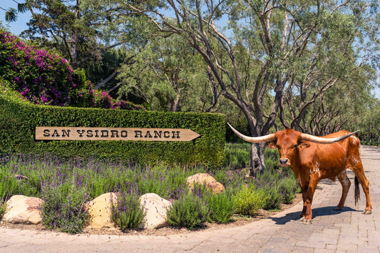 Welcome to San Ysidro Ranch