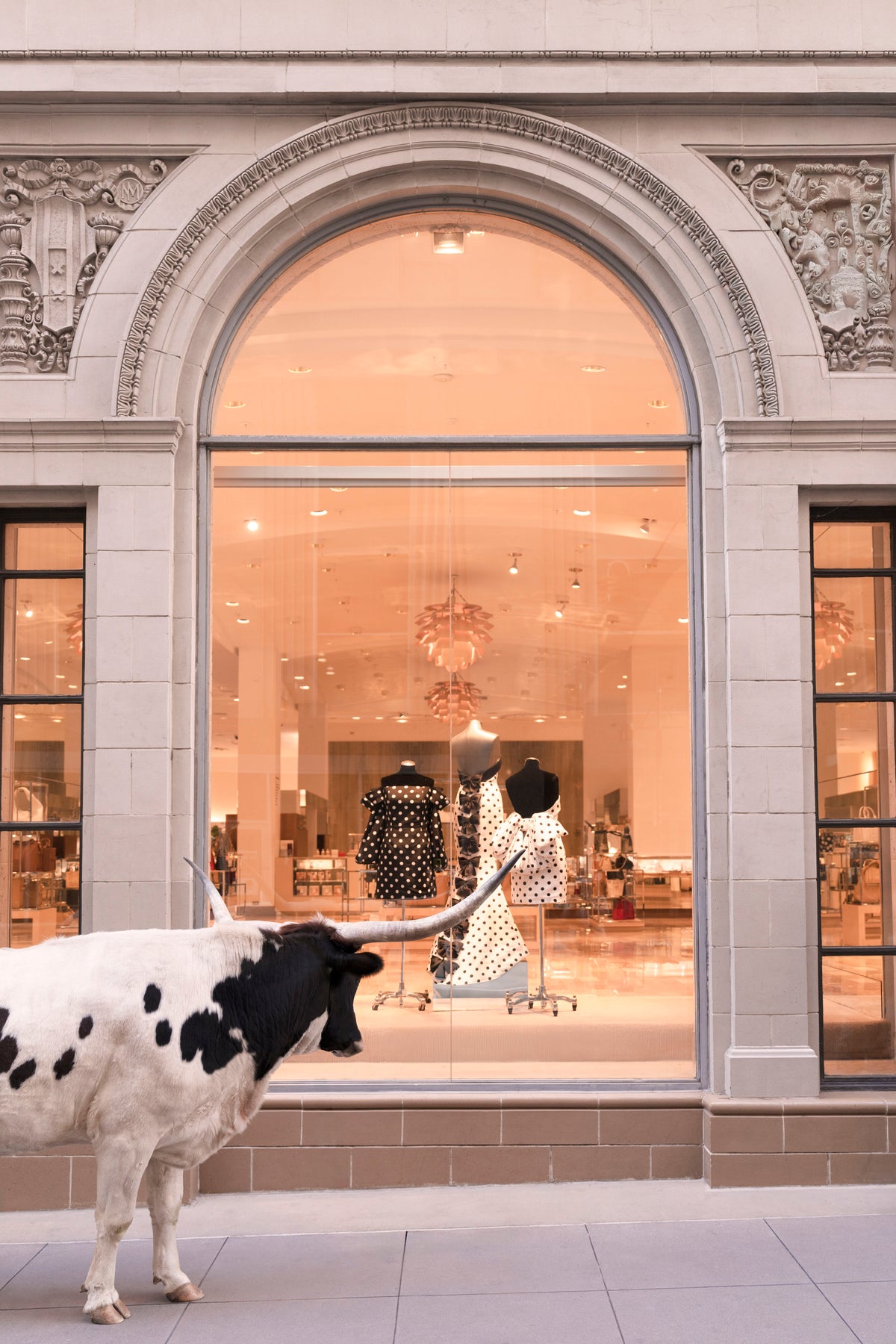 Window Shopping, Neiman Marcus, Downtown Dallas