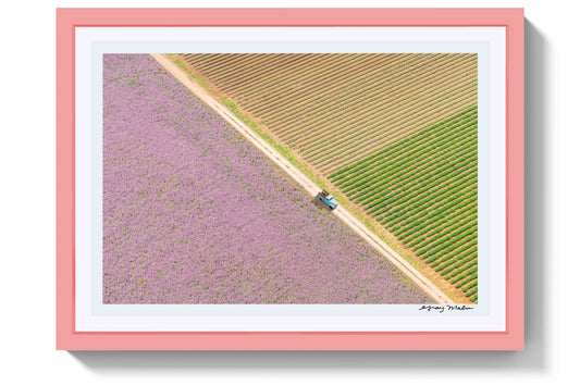 Product image for Afternoon in Provence, Pink Frame