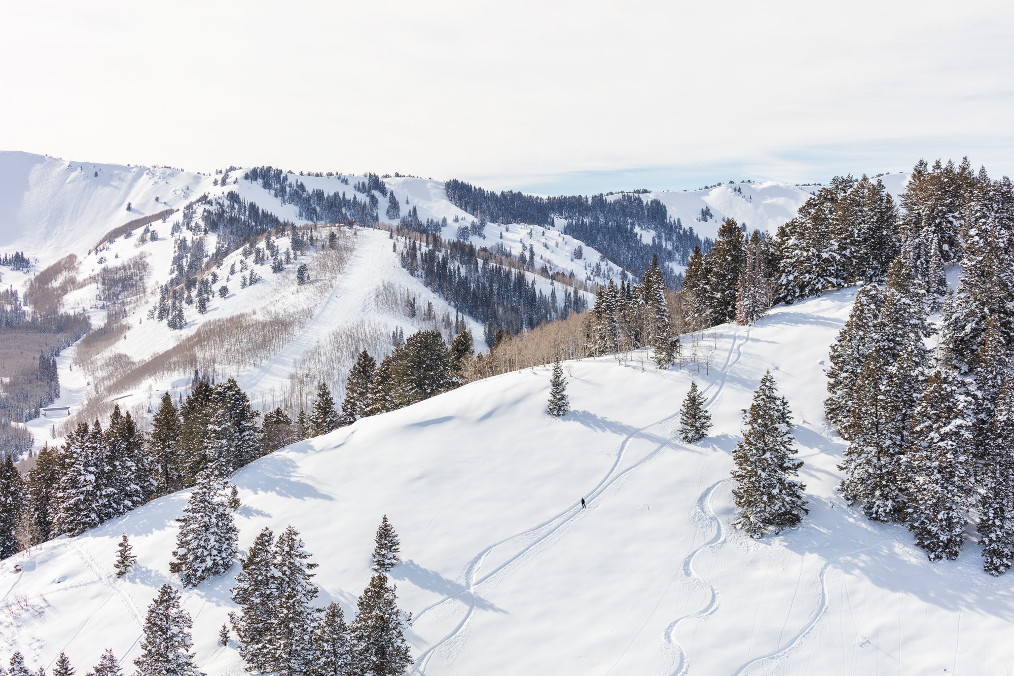 Back Country, Park City, Medium Blue Frame, Final Sale