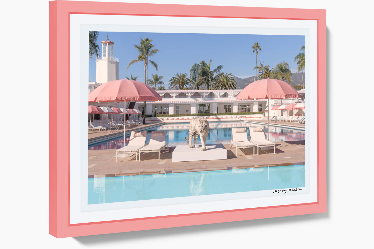 Bathing Beauty, Coral Casino, Pink Frame