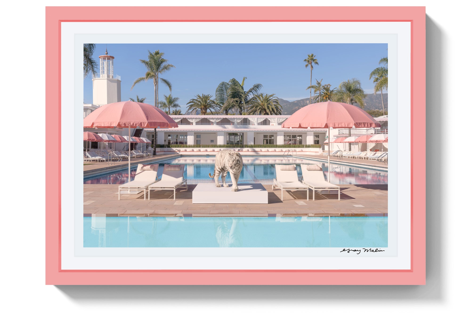 Bathing Beauty, Coral Casino, Pink Frame