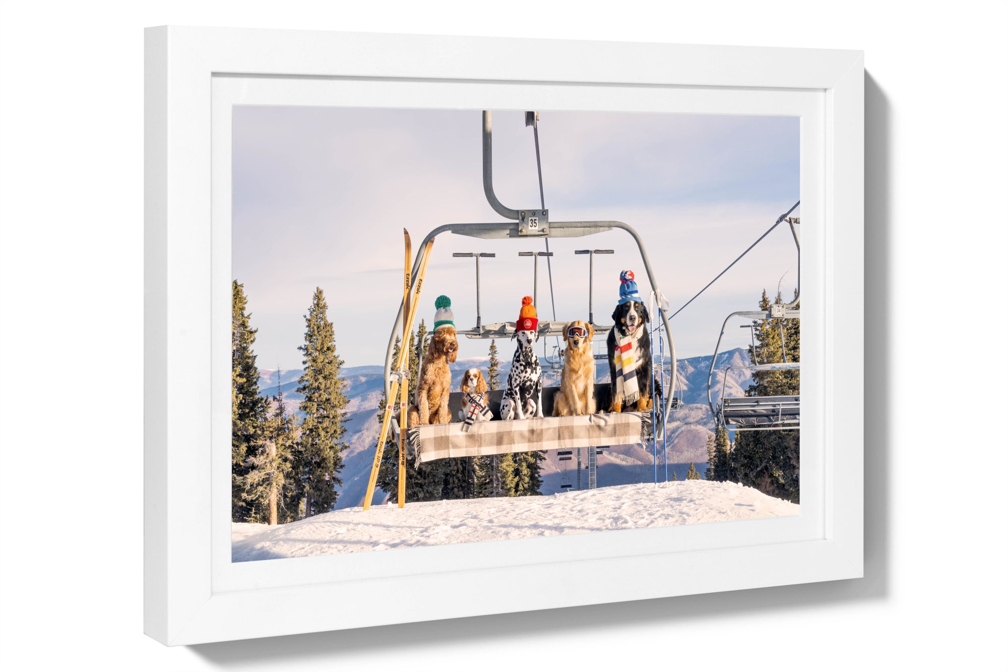 Chairlift Pups, Aspen Mini