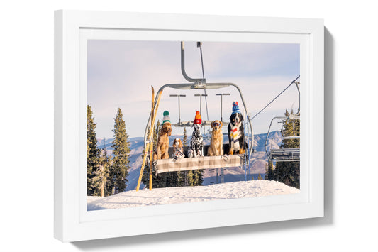 Product image for Chairlift Pups, Aspen Mini