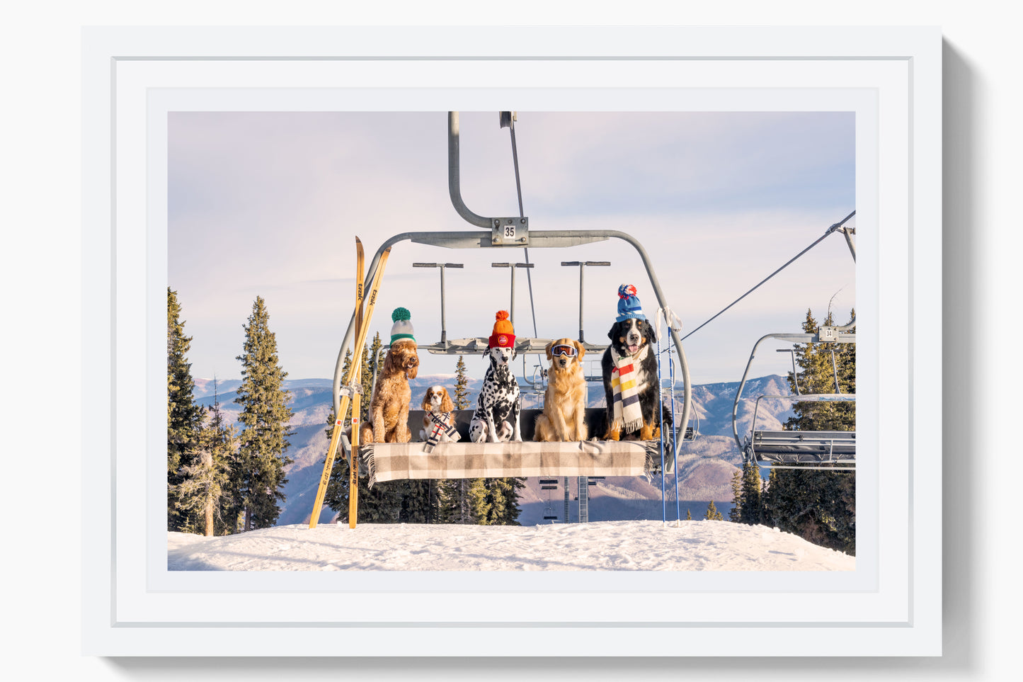 Chairlift Pups, Aspen Mini