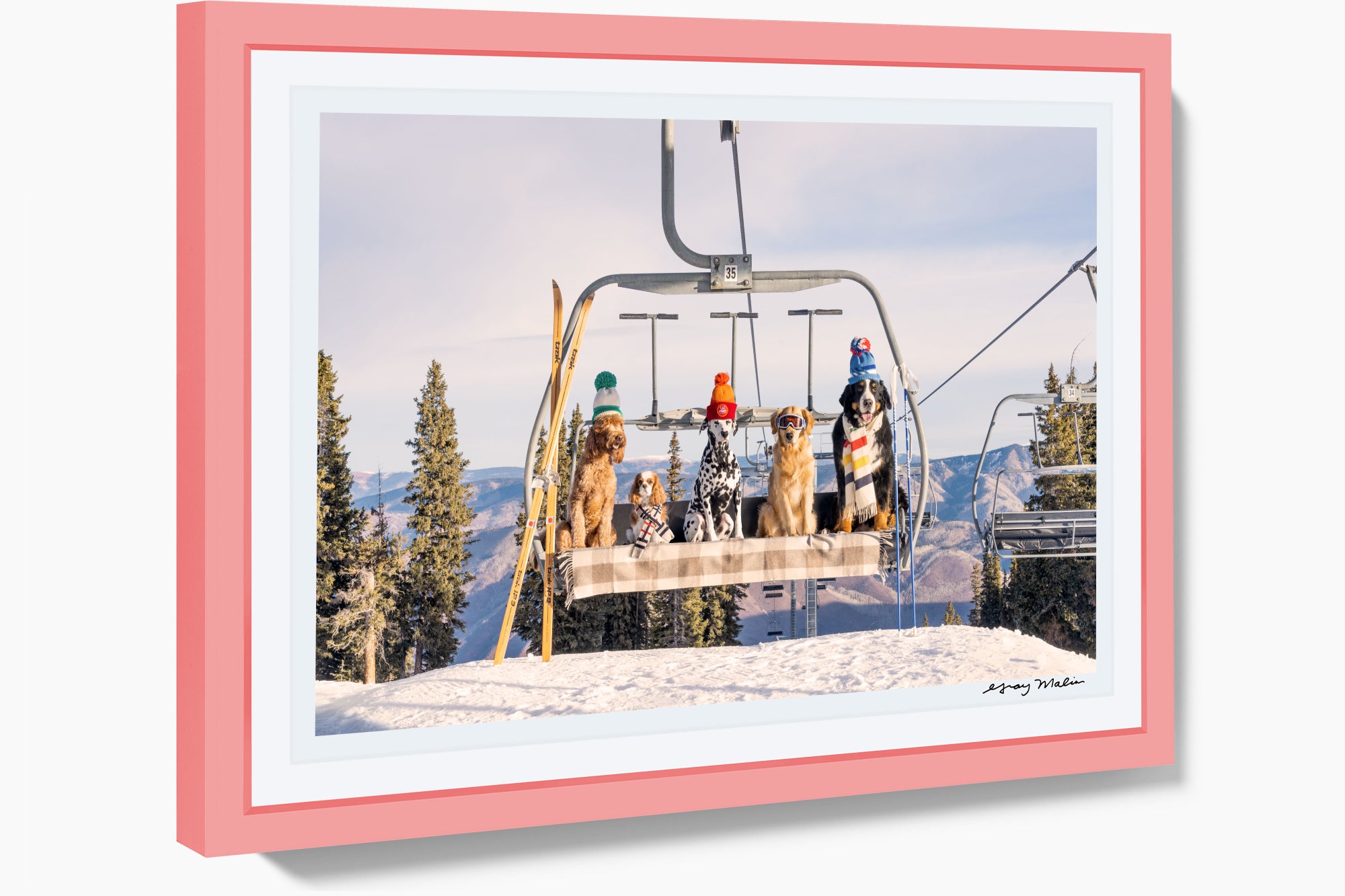 Chairlift Pups, Aspen, Pink Frame