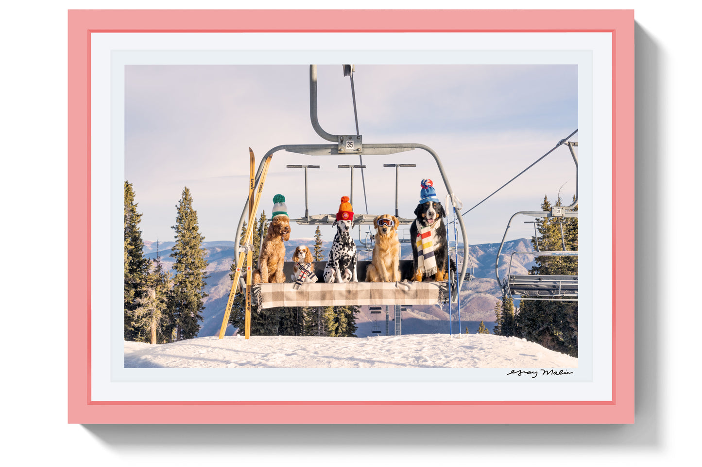 Chairlift Pups, Aspen, Pink Frame