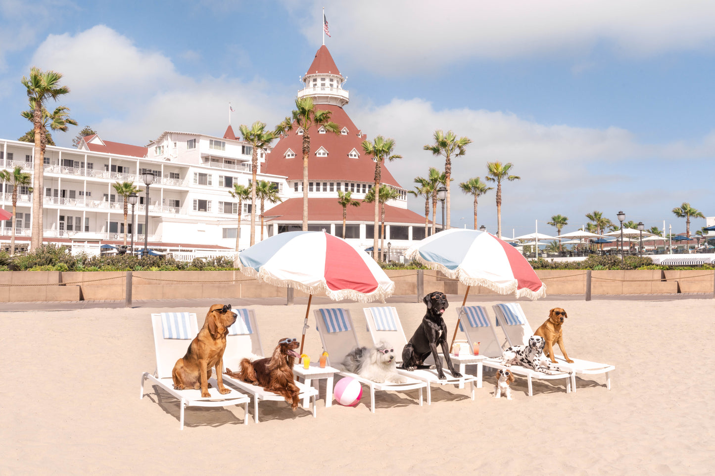 Dogs at the Del, Hotel del Coronado, Small White Frame, Final Sale