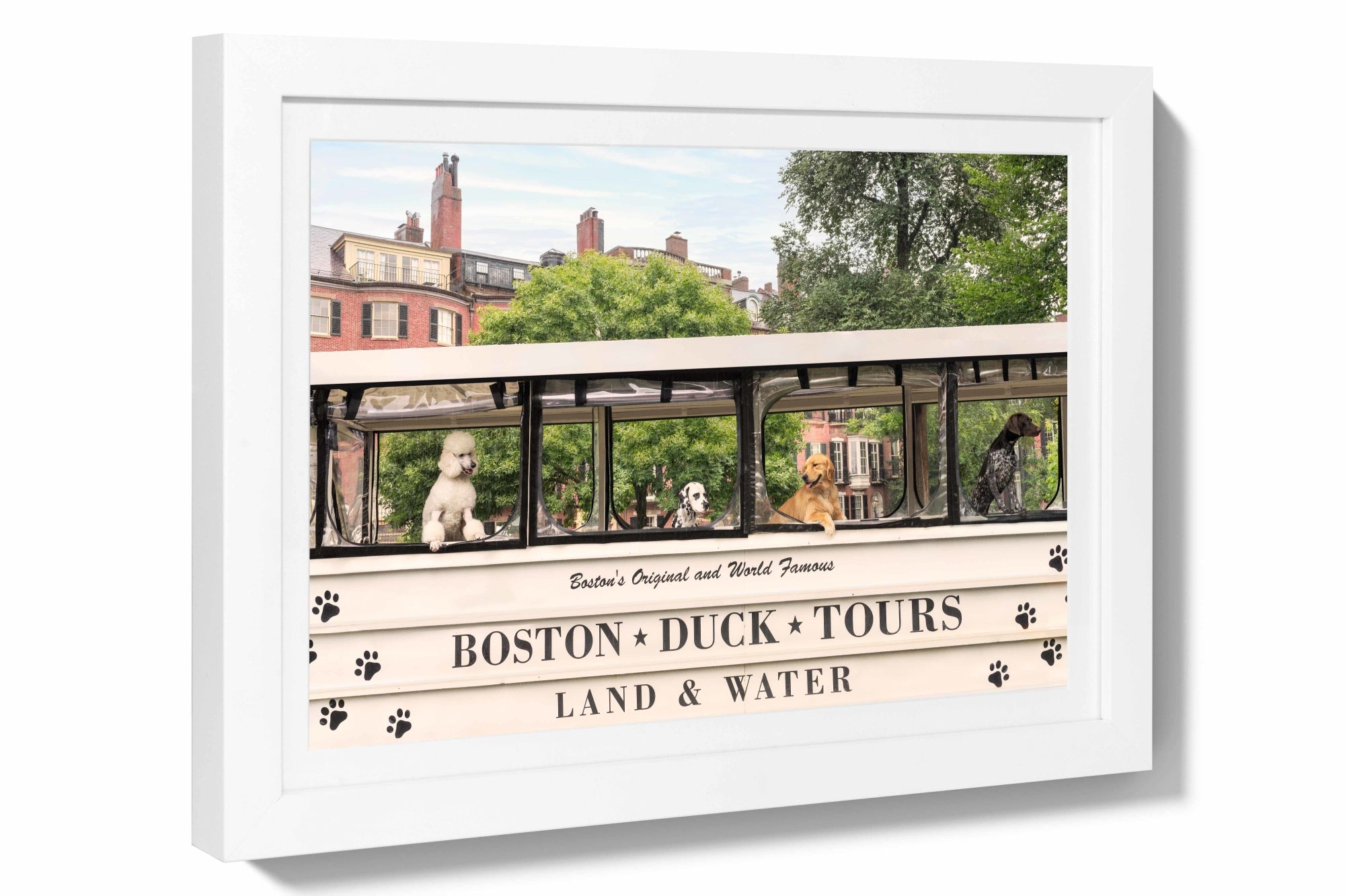 Duck Boat Tour, Boston Mini