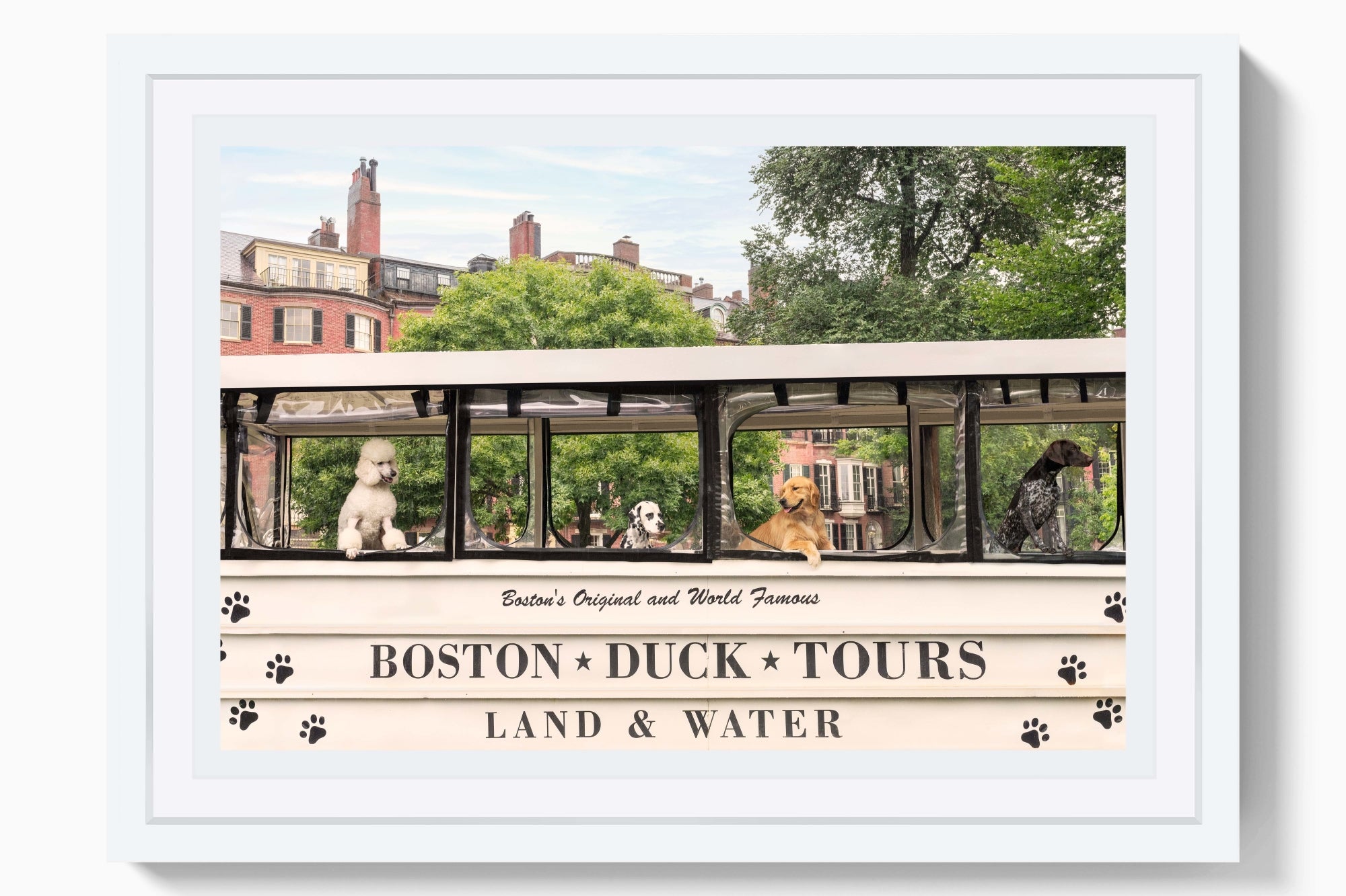 Duck Boat Tour, Boston Mini