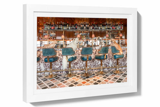 Product image for Happy Hour, Contessa, Boston Mini