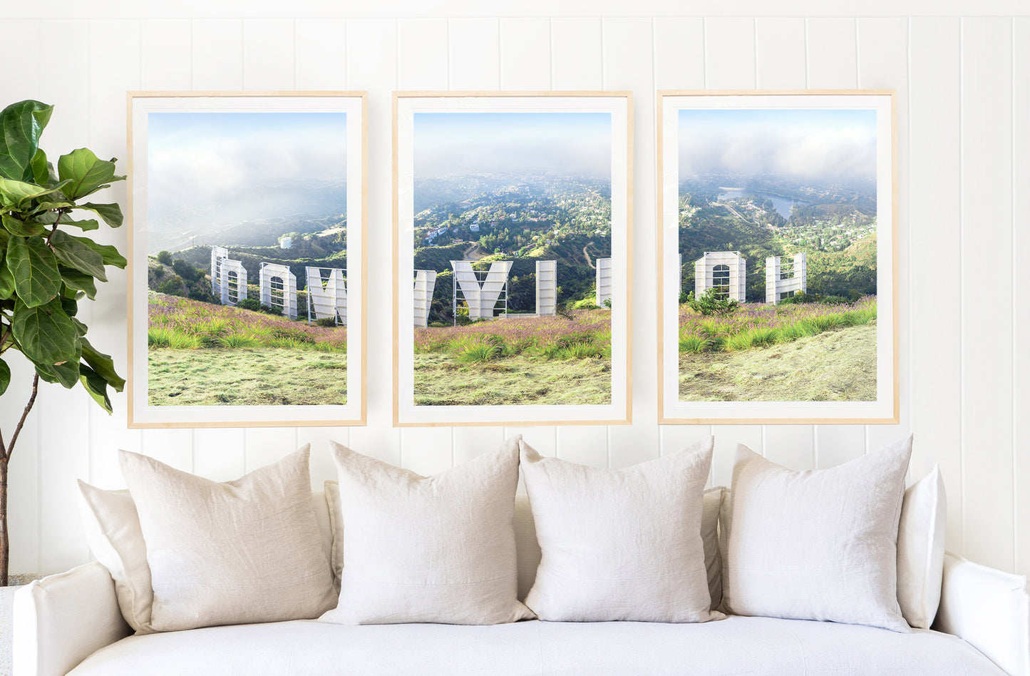 Hollywood Sign Triptych