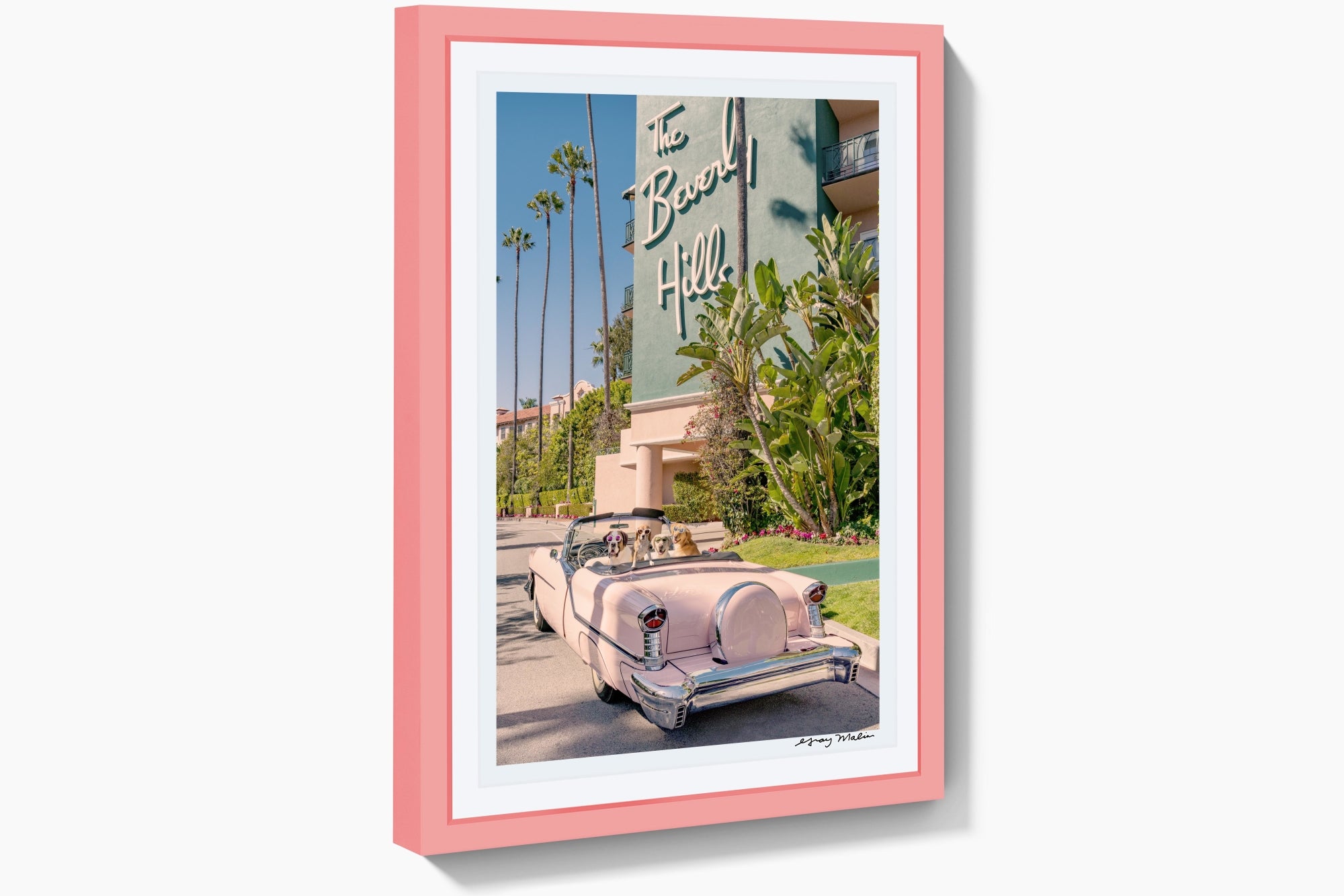 Joy Ride, The Beverly Hills Hotel, Pink Frame