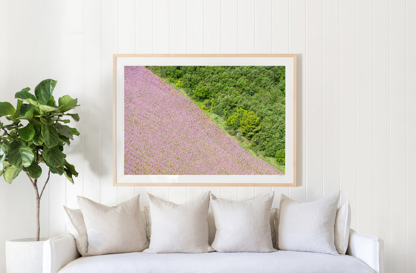 Lavender and Trees, Provence