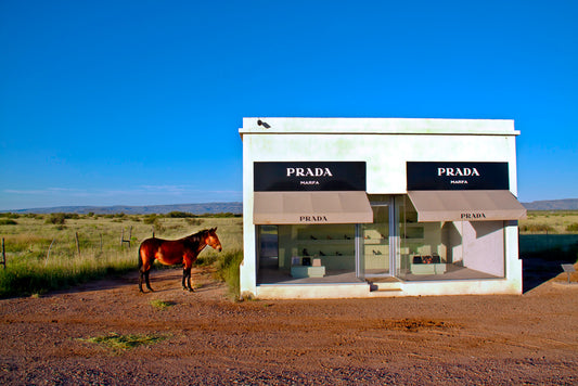 Product image for Mule Prada Marfa, Large Black Frame, Final Sale