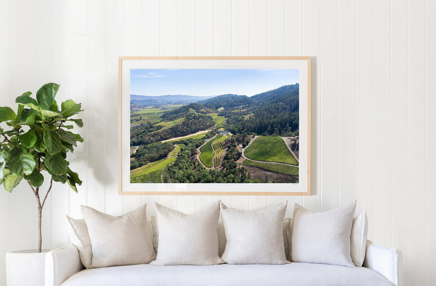 Napa Valley Foothills