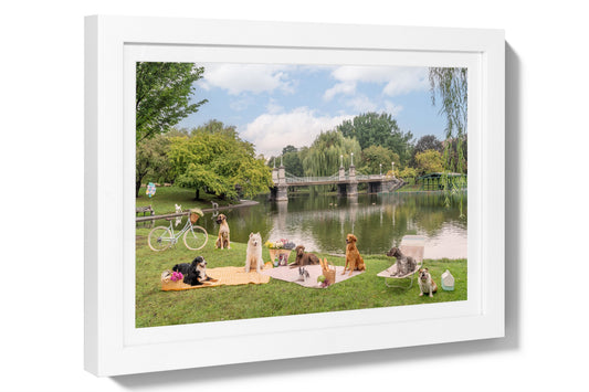 Product image for Picnic Party, Boston Public Garden Mini