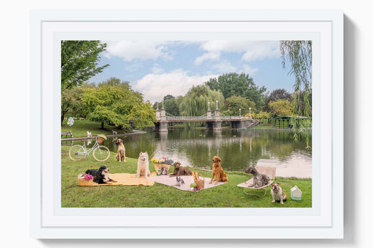 Product image for Picnic Party, Boston Public Garden Mini