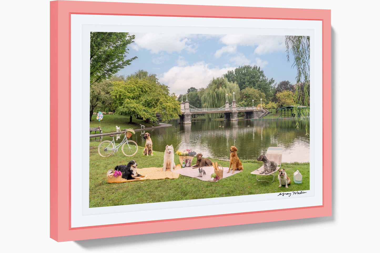 Picnic Party, Boston Public Garden, Pink Frame, Pink Frame