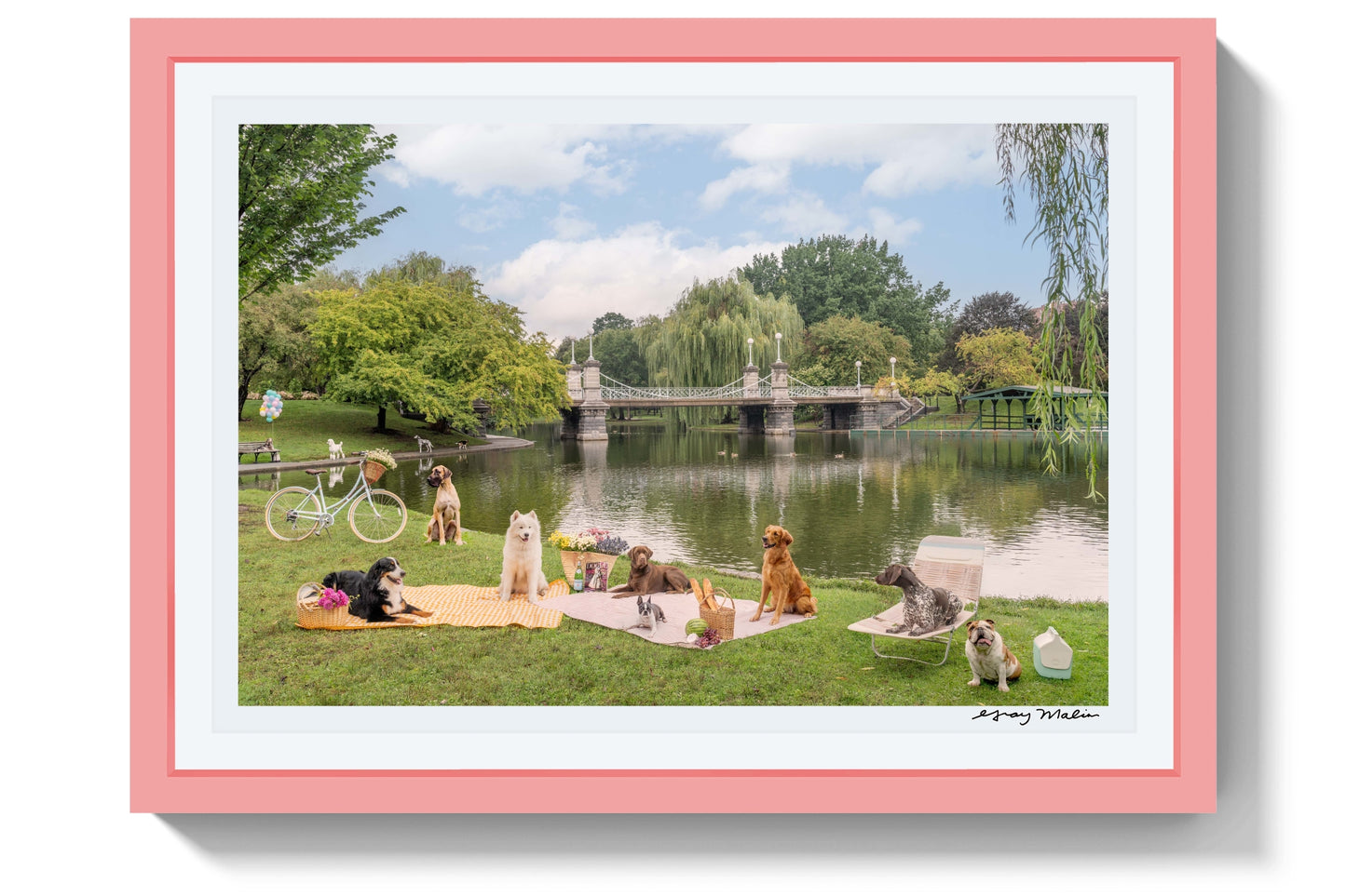 Picnic Party, Boston Public Garden, Pink Frame, Pink Frame