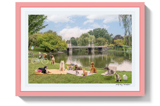 Product image for Picnic Party, Boston Public Garden, Pink Frame, Pink Frame