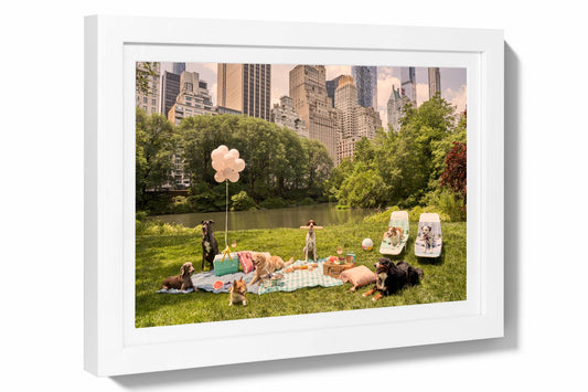 Product image for Picnic Party, Central Park Mini